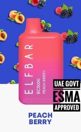 Elfbar – Peach Berry Disposable